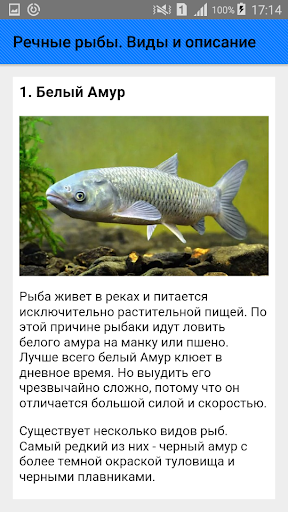 Речные Рыбы Фото И Описание