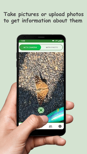 Android application Butterfly: Identify, Search screenshort