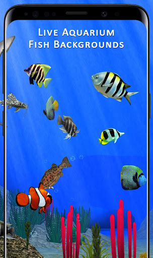 Download Fish Aquarium Backgrounds HD Live Wallpapers Free Free for Android  - Fish Aquarium Backgrounds HD Live Wallpapers Free APK Download -  