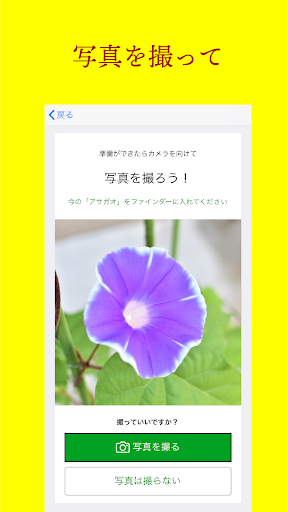 グロウンお日さま観察日記 Screen 2