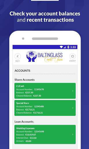Baltinglass Credit Union Screen 2