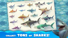 Hungry Shark World Mod APK (unlimited money-gems-coin) Download 3