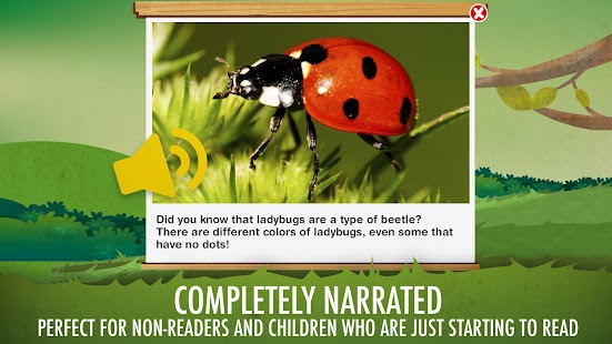 The Bugs I: Insects? Screenshot