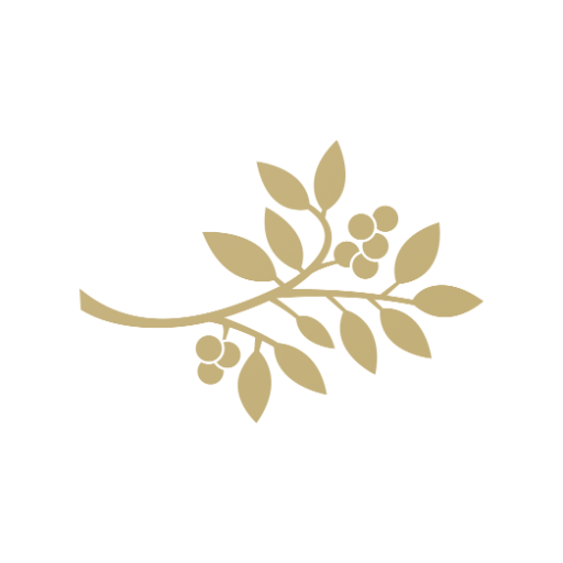 Airelles logo