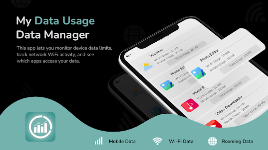 Data Manager-Data Usage