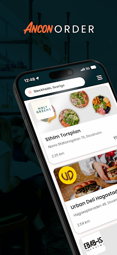 Vista previa de la aplicación