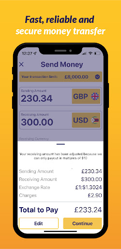 Access Forex - Money Transfer Screen 3