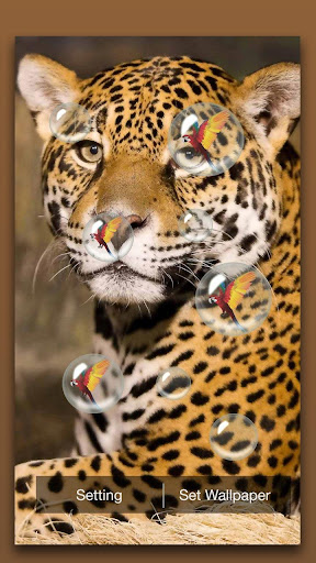 Leopard Live Wallpaper Screen 2