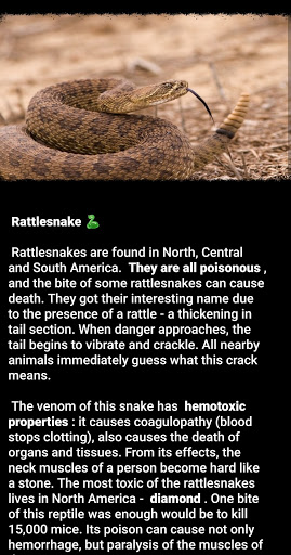 Animal Power - Dangerous Snake Screen 3