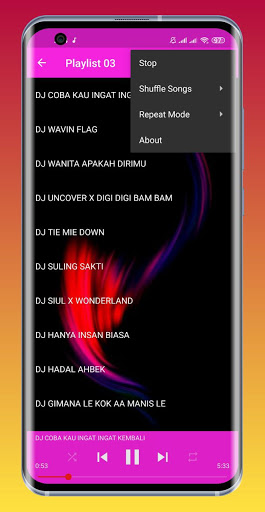 DJ DENGARLAH BINTANG HATIKU REMIX