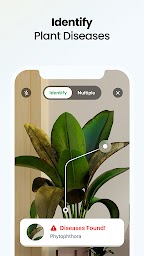 Plant App - Plant Identifier