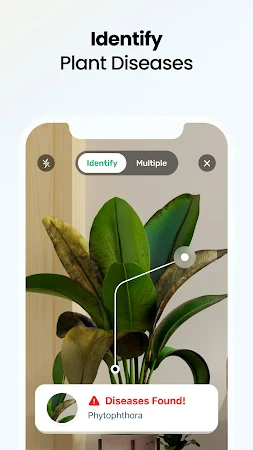Game screenshot Plant App - Plant Identifier apk download
