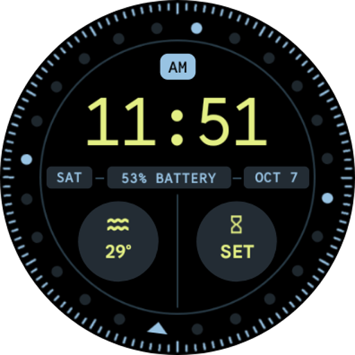 Pixel watch hotsell face