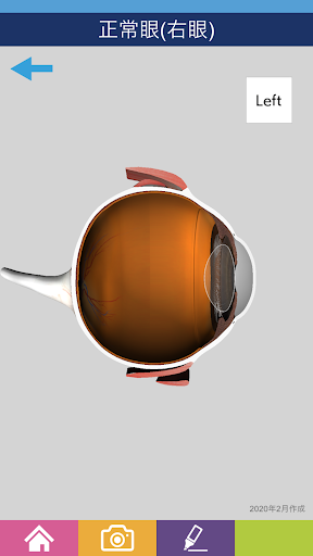 千寿製薬株式会社　3D眼球模型 Screenshot 2 - AppWisp.com