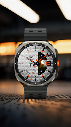 WAW024 Clear Analog Watch Face screenshot 4