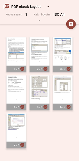 Pdf To Image: Maximum privacy Screen 2