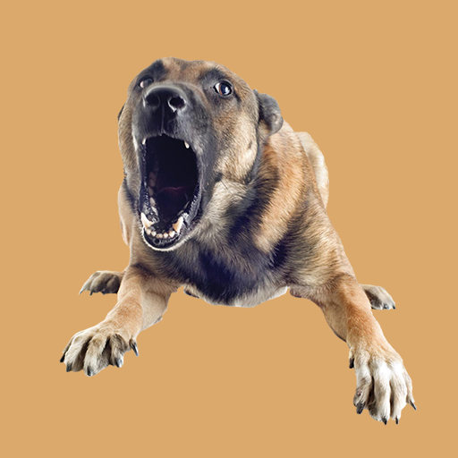 Dog Barking Sounds logo