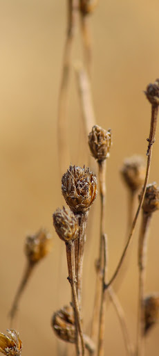 خلفيات واتس اب فخمة Screen 2