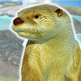 Otter Friends icon