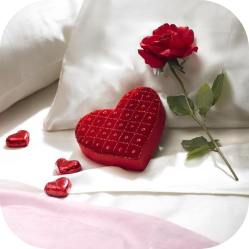 love rose pic Download on Windows