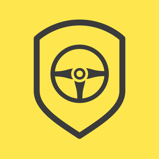 Drive Secure logo
