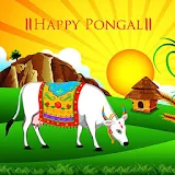 Pongal / Sankranti greetings icon