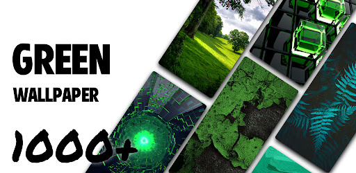 Green Theme HD Wallpaper