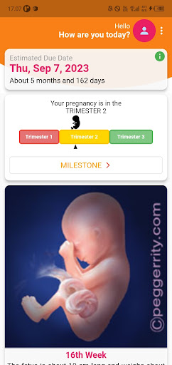 Android application Simple Pregnancy Tracker screenshort