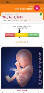 Simple Pregnancy Tracker