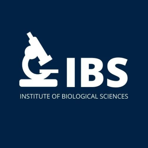 IBS logo