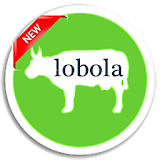 Lobola icon