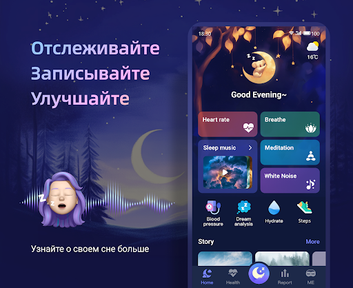 Предварительный просмотр приложения