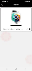 PicturePerfect Pro