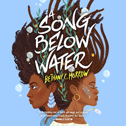 Obraz ikony: A Song Below Water: A Novel