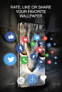 Your 4K cat wallpapers