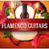 Best Flamenco Music - Flamenco Guitar Hits 20212.0