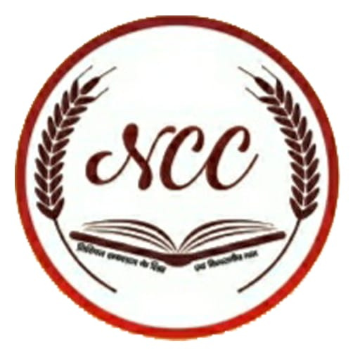 Nitin Concept Classes logo