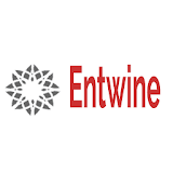 Entwine Diamonds icon