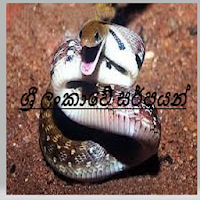 snakes in srilanka