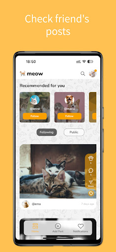 Petigo - Connecting pet lovers Screen 2