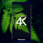Cover Image of Download 4K Wallpapers - HD & QHD Background 2021 1.0.0 APK