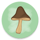 Мир грибов Справочник