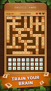 Cross Number: Math Game Puzzle 2