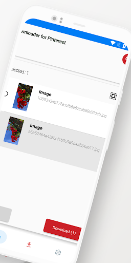 Video Downloader for Pinterest Screen 2