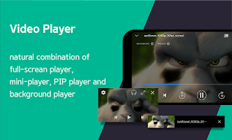 DIIX - All Codec Video Player