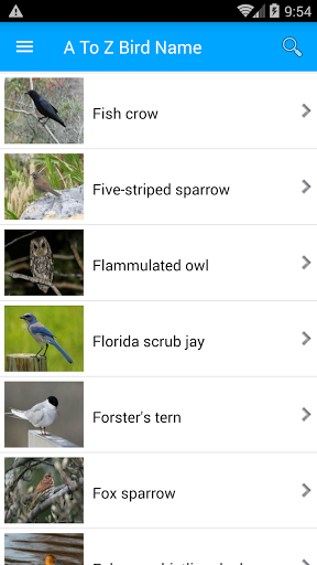 Android application Bird Name And Sound screenshort