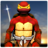 Turtle Shadow Ninja Warrior icon