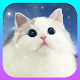 Cute Cat Wallpapers HD Free Kitten Backgrounds 4K Download on Windows