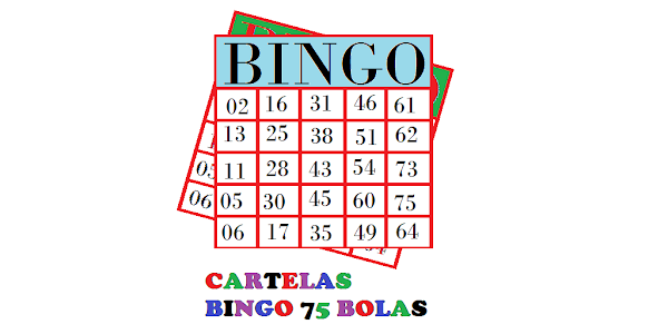 Bingo 80 bolas