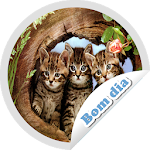 Cover Image of Télécharger good morning stickers  APK